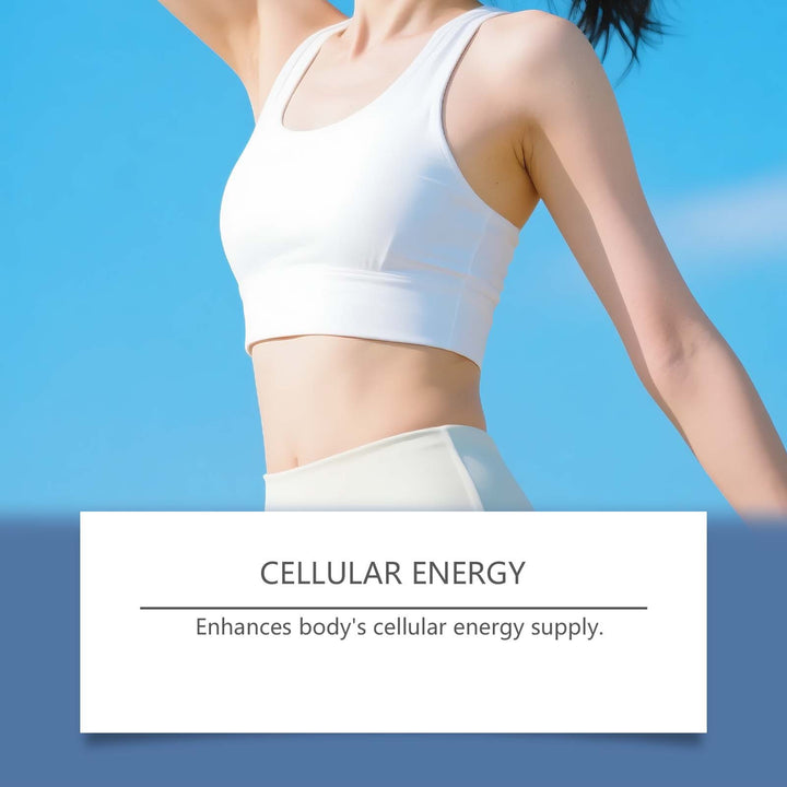 Intestinal Cleansing Supplements